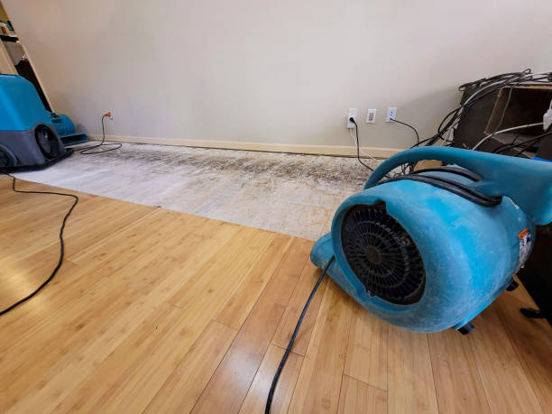 Professional Water Removal technician working in Young Harris, GA